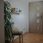 Szeroka 32 Studio